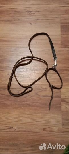 Поводок, ошейник, шлейки