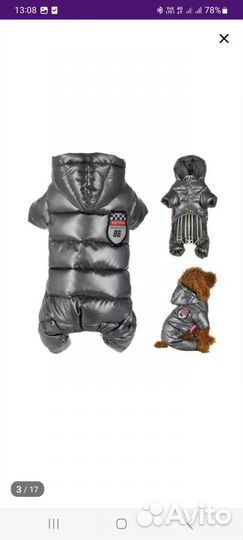 Одежда для маленьких собак