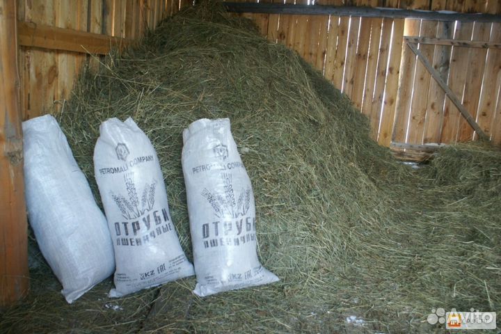 Продам сено покос 2023 год