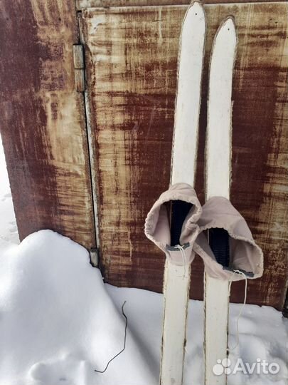 Лыжи на камусе