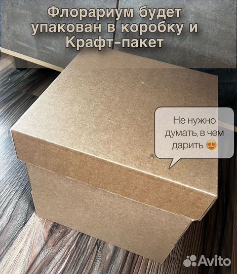 Композиция из живых растений. Подарок