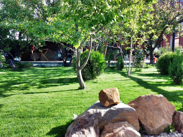 Комната 24 м², 1/2 эт.