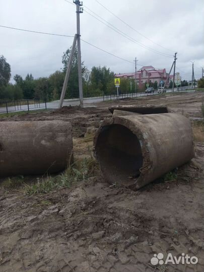 Кольцо жби