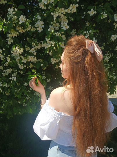 Ландшафтный дизайнер, помощник дизайнера