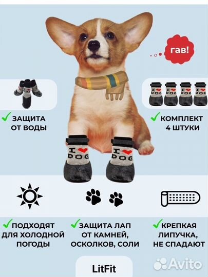 Одежда для собак