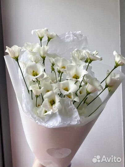 Цветы Букет цветов с доставкой Любые букеты