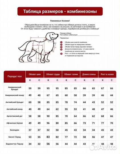Дождевик для собаки (кобель)