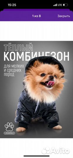 Зимний комбинезон на собаку маленькой породы