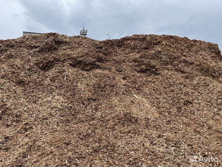 Кора (Прелая, Свежая)