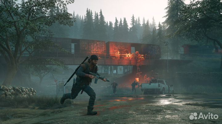 Days Gone (Steam)