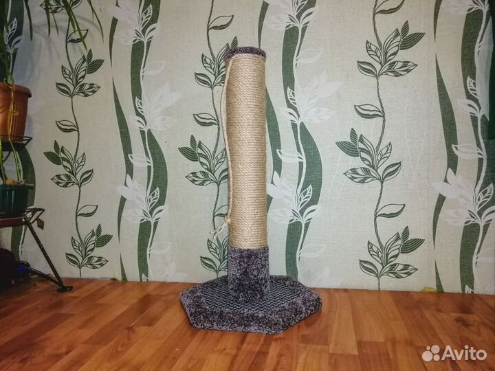 Когтеточка для кошек