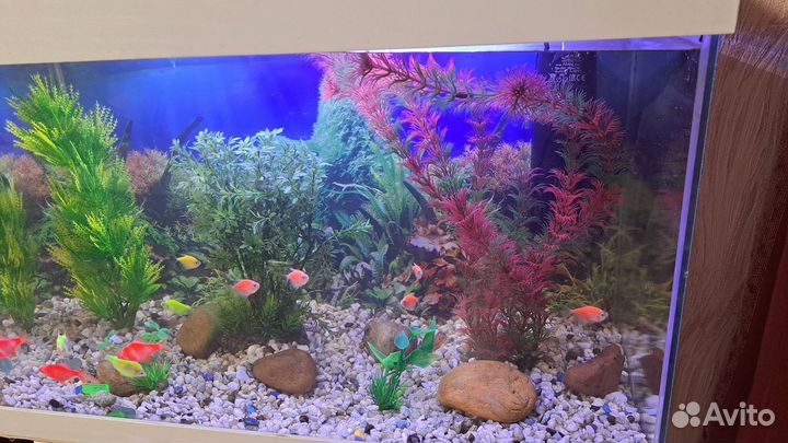 Аквариум 50л на тумбе