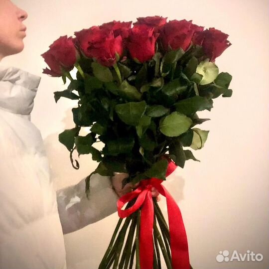 Красные розы сорта explorer 70 см