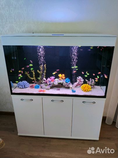 Аквариум