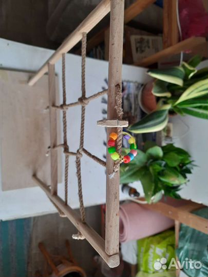 Игровая площадка для попугая