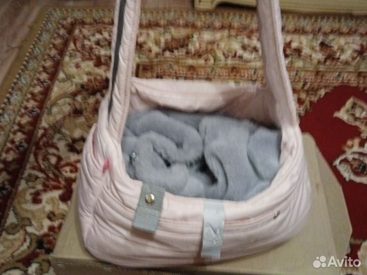 Сумка-переноска для животных