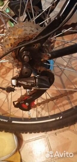 Stern Hard tail model 26