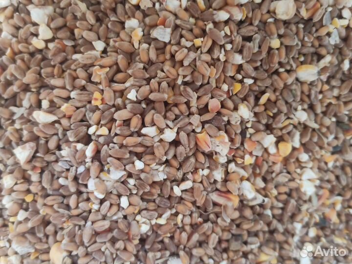 Зерносмесь для кур