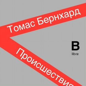 Томас Бернхард: Происшествия