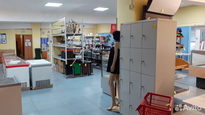 Шкаф для сумок шрм - 312