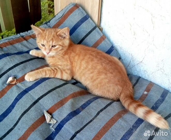 Минутка 2,5 мес