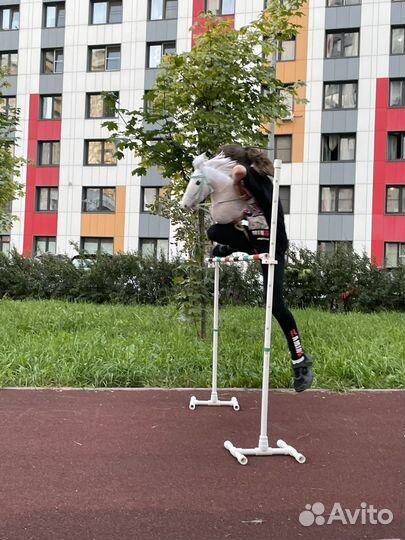 Тренировки по хоббихорсингу