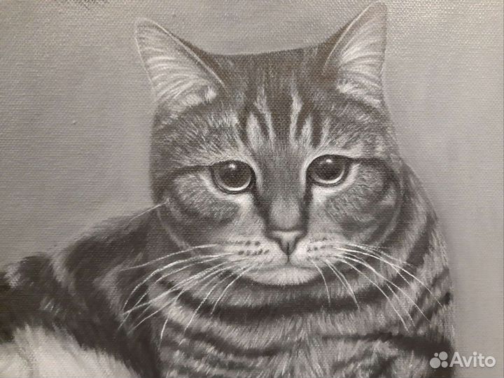 Портрет питомца