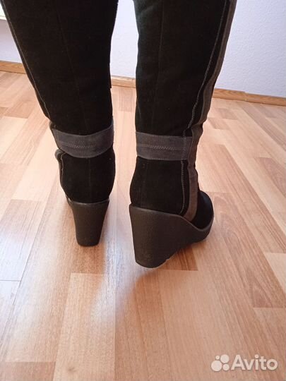 Сапоги женские evita