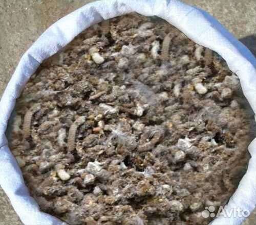 Помёт куриный и перепелиный