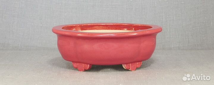 Горшок (плошка, контейнер) для Бонсай 22*19*8