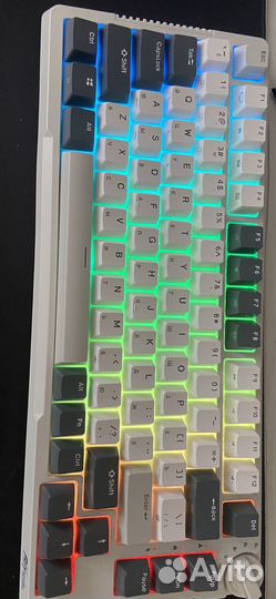 Royal Kludge rk81 RK Blue