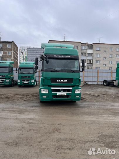 КАМАЗ 5490, 2017