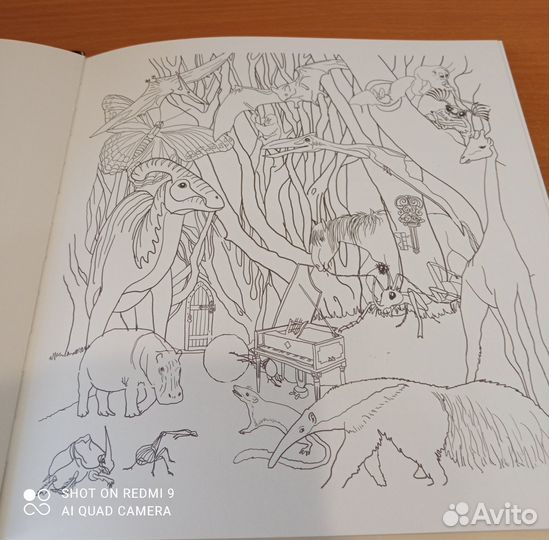 Книга-раскраска. Мистификации