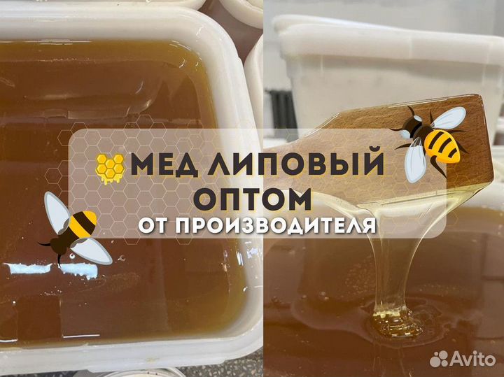 Свежий мед липовый оптом
