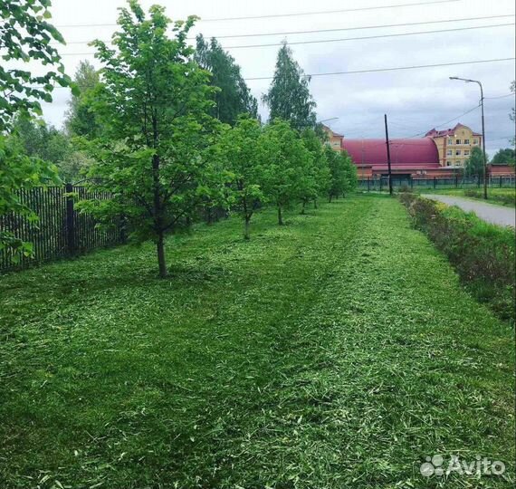 Покос травы