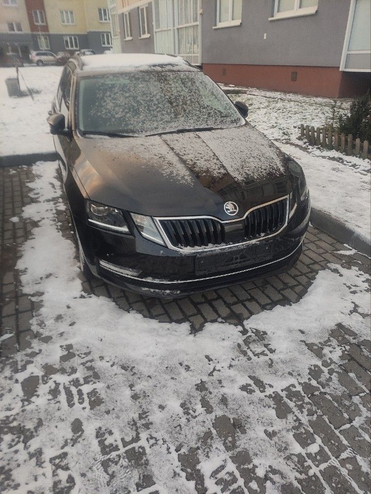 Skoda Octavia: фото владельца