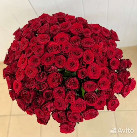 Розы,букет из роз