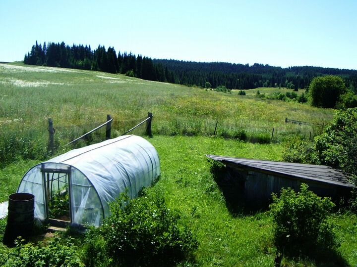 Дом 48 м² на участке 40 сот.