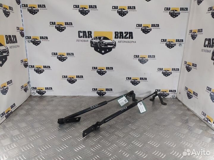 Амортизаторы багажника (комплект) R\L BMW 1