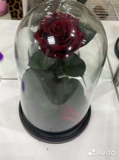 Роза в колбе premium