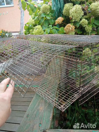 Клетки для перепелов бу