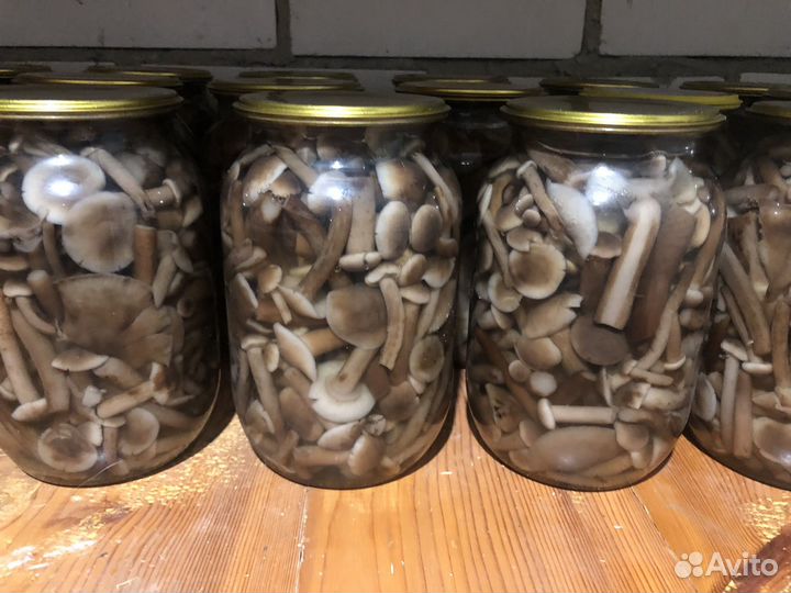 Грибы опята маринованные