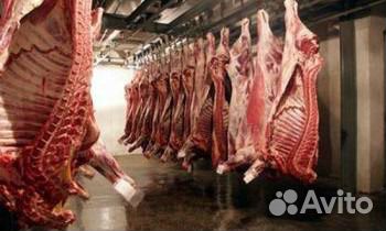 Утилизация, вывоз биоотходов,уничтожение