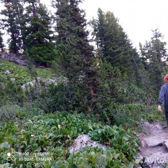 Экскурсии на Каракольские озера