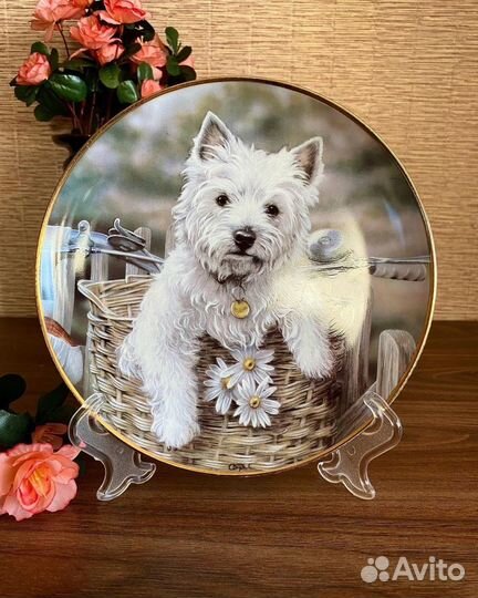 Декоративные фарфоровые тарелки, Англия