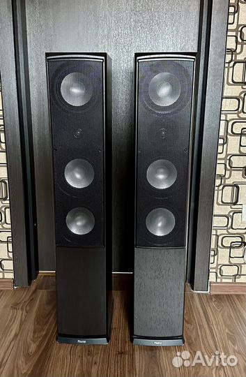 Напольная акустика magnat quantum 507