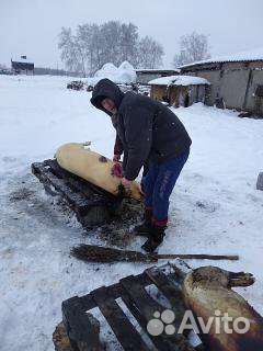 Продукты питания