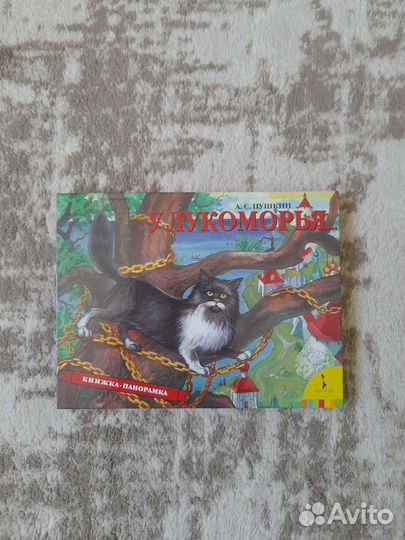 Книга распашенка