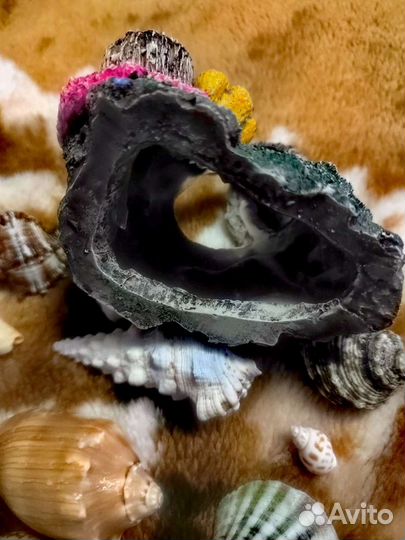 Набор для аквариума/Коралл и ракушки