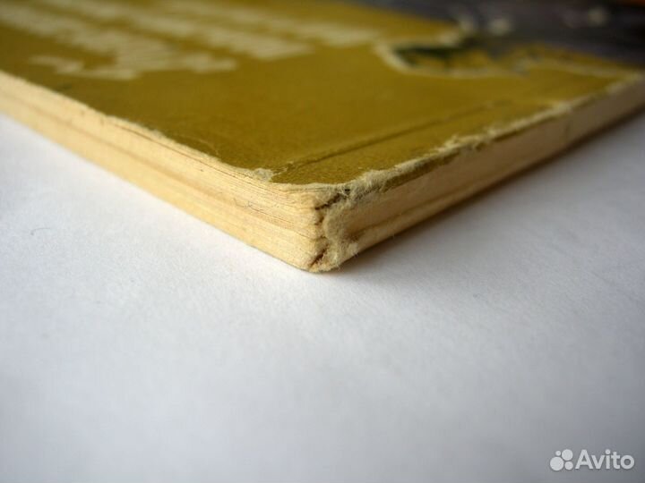 Боевое содружество польских и советских партизан